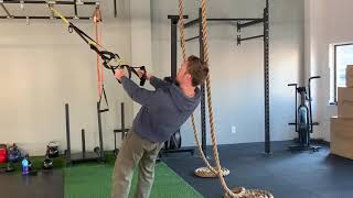 TRX T's (Reverse Fly)