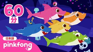 ハロウィン ゾンビのサメのかぞく＆人気曲メドレー | ハッピー ハロウィン 、チュンバラ・カチュンバラ・ダンス 他 | 子どもの歌 | Pinkfong 日本語 | ピンキッツとベイビーシャーク