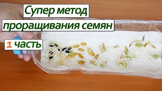 Проращивание семян на бумаге супер метод /Sprouting seeds super paper method