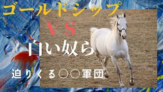 ゴールドシップｖｓ白い〇〇軍団　2020年1月4日ビッグレッドファーム撮影
