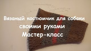 Вязание спицами. Костюм для собачки своими руками. МК. Часть I