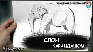 Как нарисовать слона в полный рост карандашом