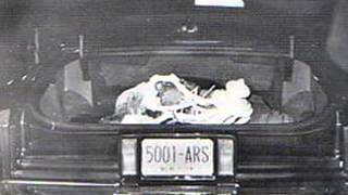 The Iceman on mobster Roy DeMeo