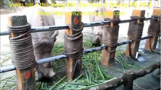 VƯỜN BÁCH THÚ TRONG KDL ĐẠI NAM B.DƯƠNG VN 2011 2p59`` so4