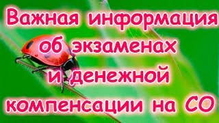 Семья Бровченко. Важная информация про аттестацию на СО и компенсацию. (09.15г.)