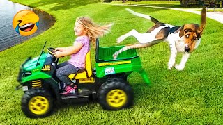 Best Funny Animal Videos 2022 - Funniest Dogs And Cats Videos ????