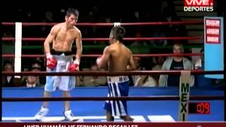 Resumen boxeo Liner Huamán vs. Fernando Decaillet mp4