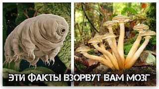 ✔️Неизвестные факты о нашем мире?, которые заставят☝️вас задуматься?