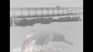 I Koshi Barrage I Border of Nepal