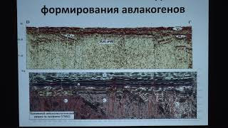 Копаевич Л. Ф. - Геология России и сопредельных территорий - История развития платформ