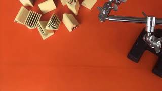 CAPTURES - DES PÂTES À LA COULEUR - 28 SEPTEMBRE - 3 SEPTEMBRE 2018