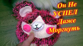 •?Хулиганы ЗРЕНИЯ ЛИШАЮТ?•