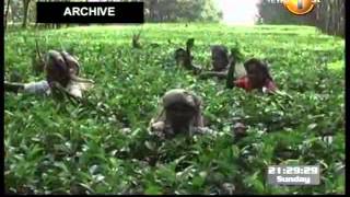 9 00pm prime time news mtv 11th August 2013 part 03