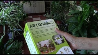 Комнатные растения и наш отпуск.   Автолейка поможет нашим растениям.