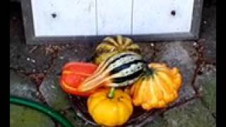 ГЕРМАНИЯ. 1 НОЯБРЯ 2015.Halloween.Оледенение в Европе!