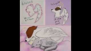 #RipCat #RipAngel
