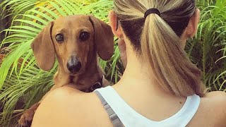 Woman adopts blind dog. Things don't go exactly as expected.