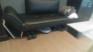 Deskcycle 2 Review - Under Desk Exercise Bike ??