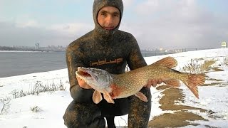 "Подводная охота на щуку зимой" мастер-класс от Максима Лубягина. Треллер.