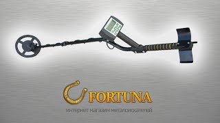 Новинки металлоискателей 2013 года. Кощей 25К. Тест.