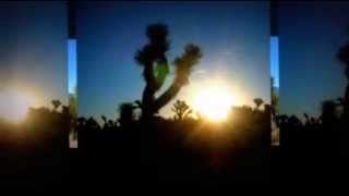 Mojave Desert