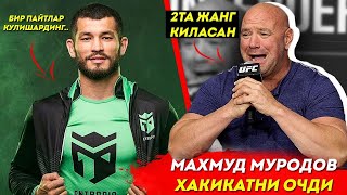 Махмуд Муродов ЧИДАБ ТУРОЛМАДИ / Дана Уайт Флойдни устидан кулди.