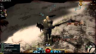 Guild Wars 2 BWE, Wanderers Corp [Winc] как убить гильдию одним скилом