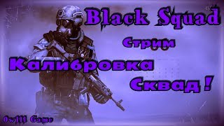 Black Squad - Стрим: Калибровка Сквад !!! )))