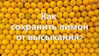 Как сохранить лимон от высыхания I Good Ideas