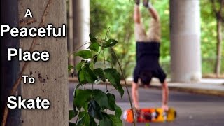 Dan Garb Freestyle Skateboarding Film (60 Fps)