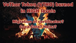 Great News for VeChain Network - VeThor Token (VTHO) burned in HIGH levels