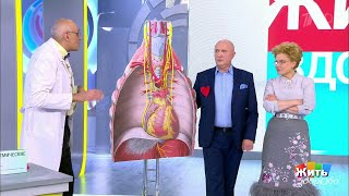 Жить здорово! Тахикардия. Почему колотится сердце?  14.02.2019