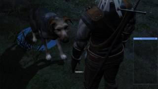 The Witcher(Ведьмак) Часть 1.Предместье. Прохождение одной рукой,+ лор 1 Босс Зверь