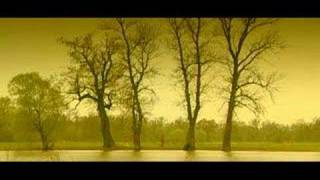 NeDilya - I Will Fly