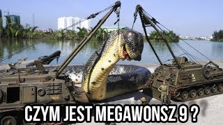 MEGAWONSZ 9 - CIEKAWOSTKI O HODOWLI HETERODONA W DOMU