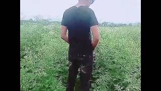 Boy pissing in public part 2