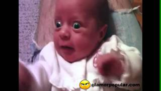 Humor Bebe Yoda