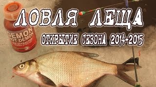 Ловля леща зимой, подводные съемки
