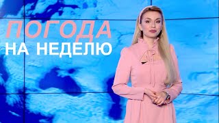 Ждём сильные морозы? / Прогноз погоды с 11 по 17 января 2021. Погода на неделю