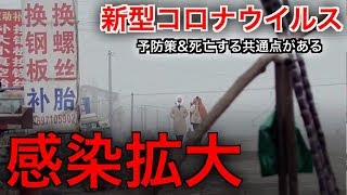 新型肺炎 パンデミック【 感染拡大】武漢から帰国した日本人など　Novel coronavirus 2020.1.29