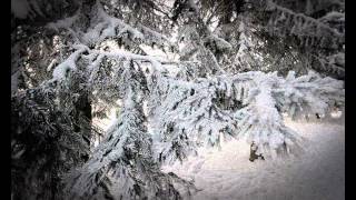 Teemu T - The Opening