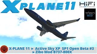 X-PLANE 11 ► Active Sky XP  SP1 Open Beta #3 ►Zibo Mod B737-800X ►1080P