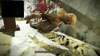 Fallout4 213