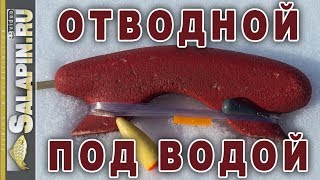 Отводной поводок на течении, подводное видео. Лежит ли крючок на дне? [salapinru]