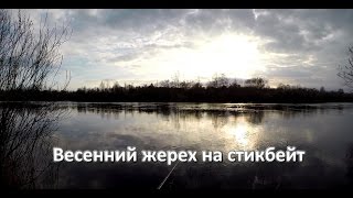 Жерех на стикбейт Zipbaits Rigge Raphael. GoPro