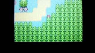 Evolution Kraknoix shiny.