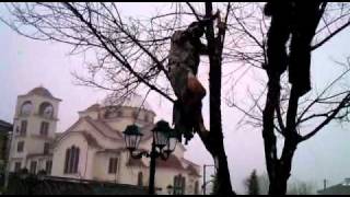 ΑΠΟΚΡΙΕΣ ΑΓΝΑΝΤΕΡΟ 2011 ΜΥΘΙΑ!!!!!!!!