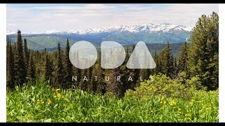 Результаты применения кремов ODA NATURALS от Coral Club