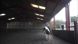 Hattie - RAW footage