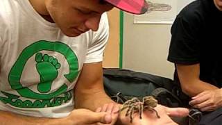 Hairy Friend-  Part One...Max, Pip, Arroyo and LVPK Jim Robertson and special guest..